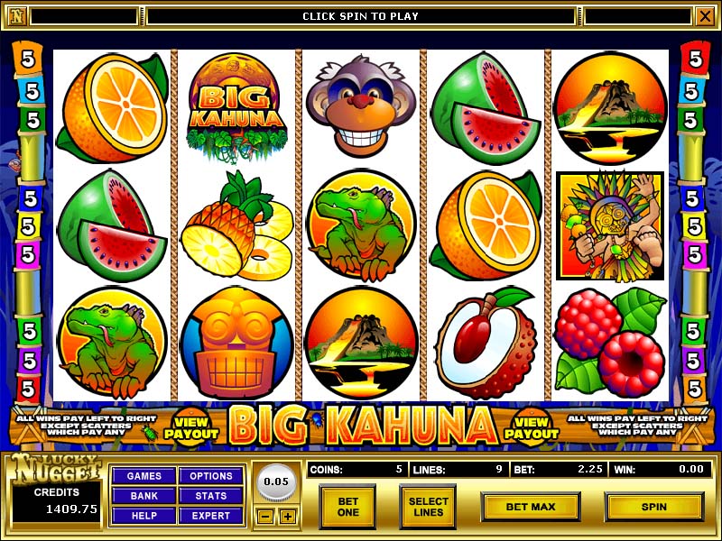 Big kahuna microgaming casino slots rigged villa